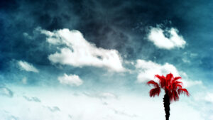 Quilted Sky